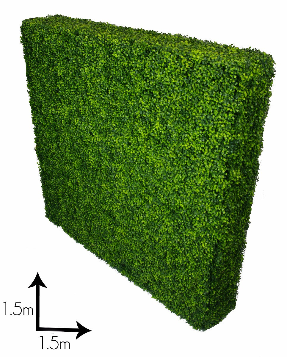 Large Portable Boxwood Hedges UV Stabilised 1.5m By 1.5m - image1