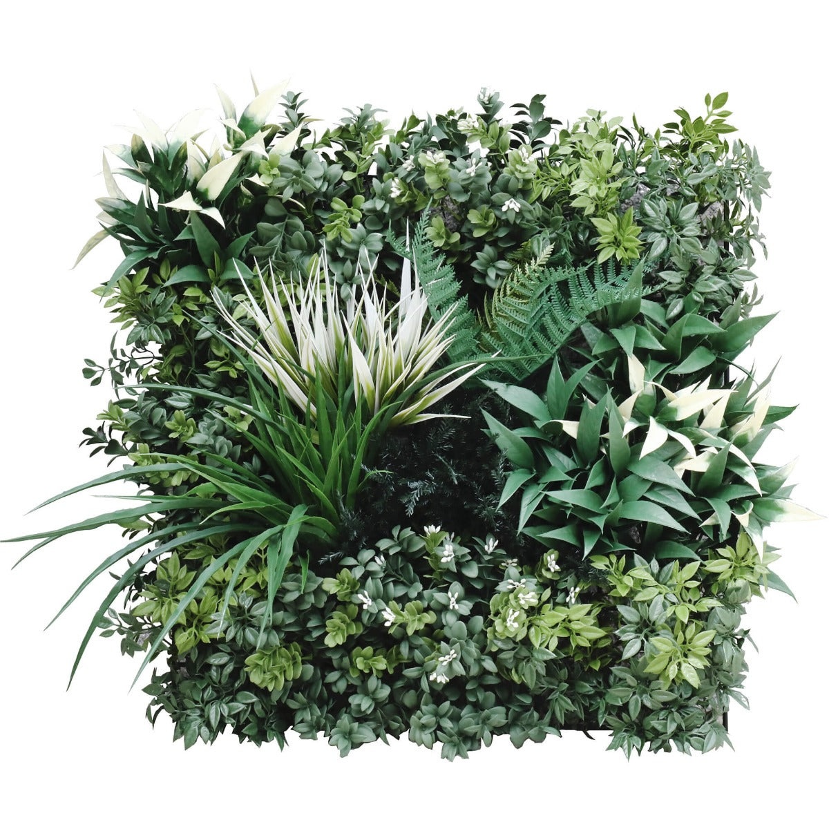 Bespoke Vertical Garden Green Wall UV Resistant SAMPLE 45cm x 45cm - image3