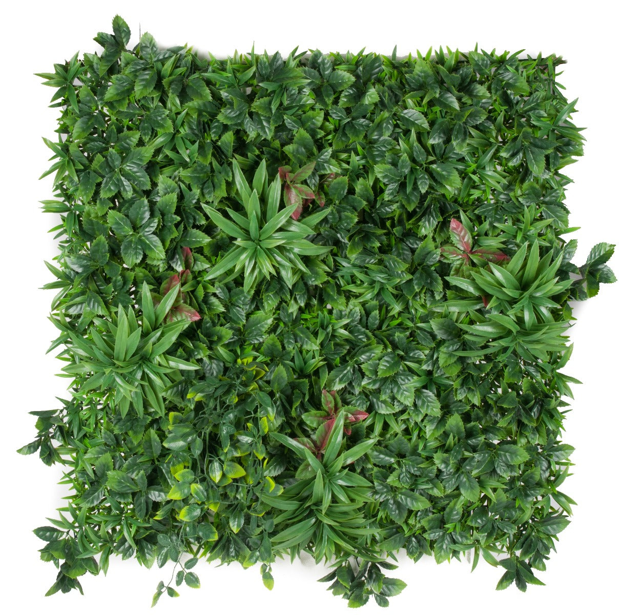 Green Meadows Vertical Garden UV Stabilised 1m X 1m - image5