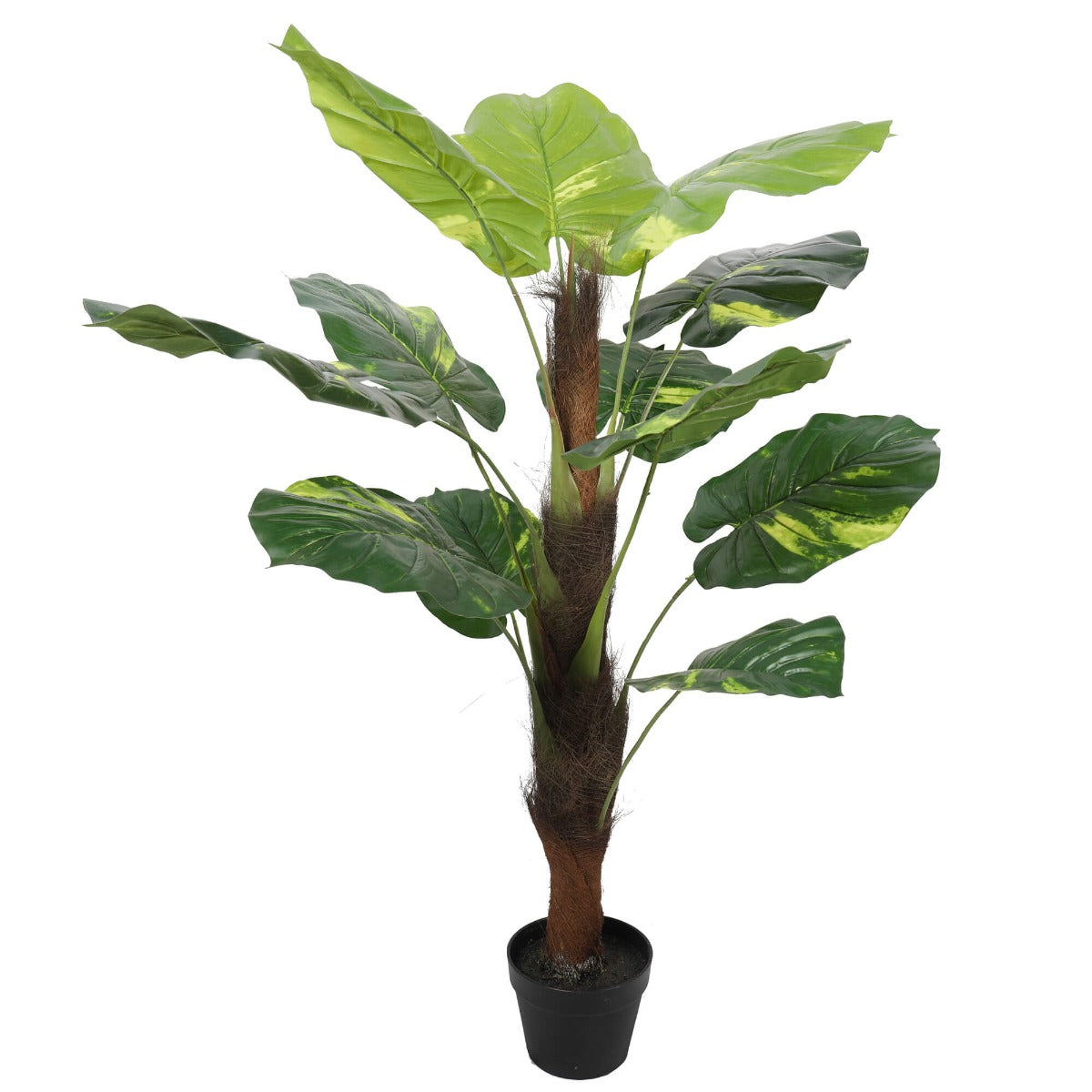 Potted Pothos Plant with Pole 100cm - image1