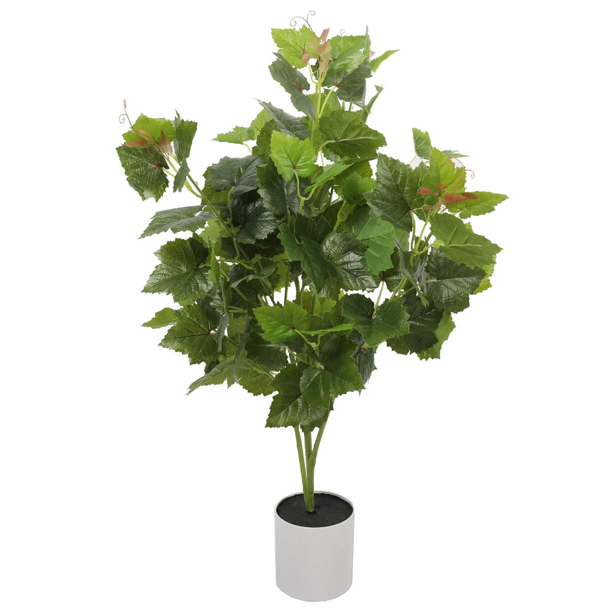 Potted Grape Vine Tree 70cm - image1