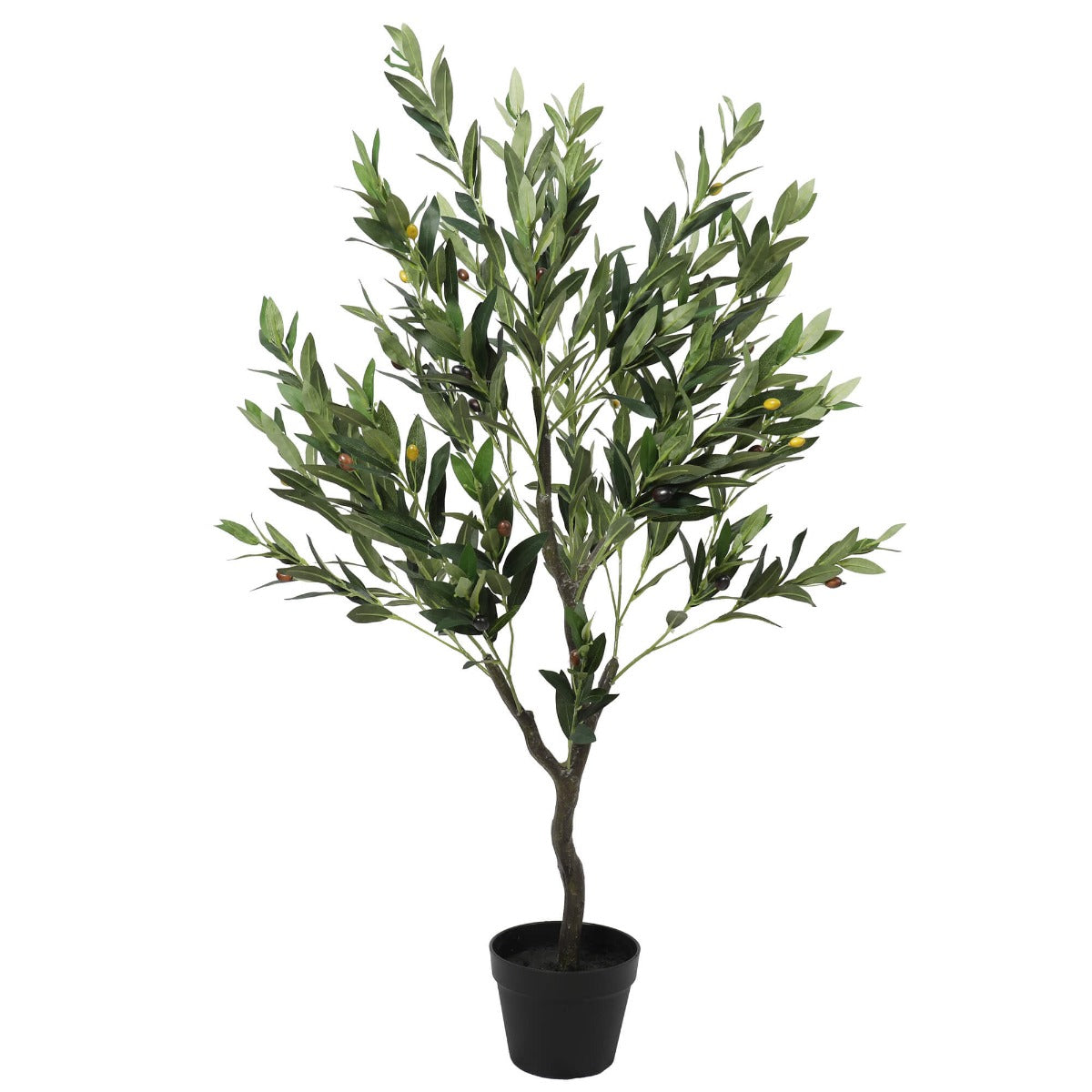 Olive Tree with Olives 125cm - image4