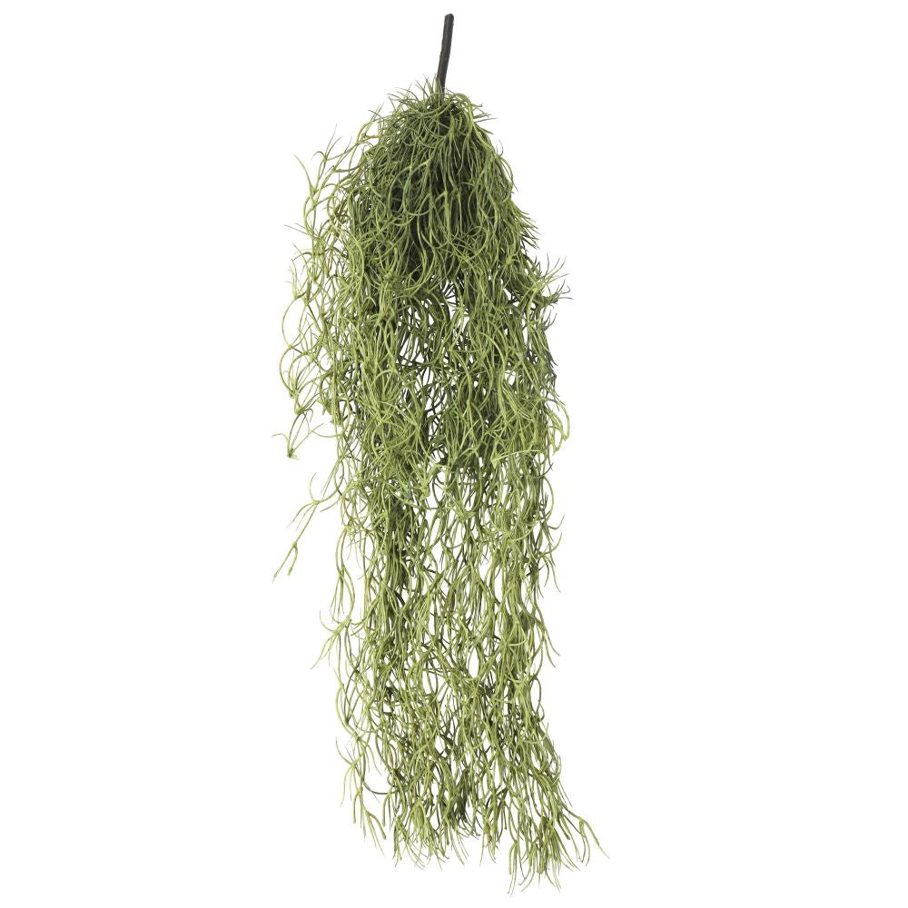 Air Plant Spanish Moss - Old Man Beard 60cm - image1