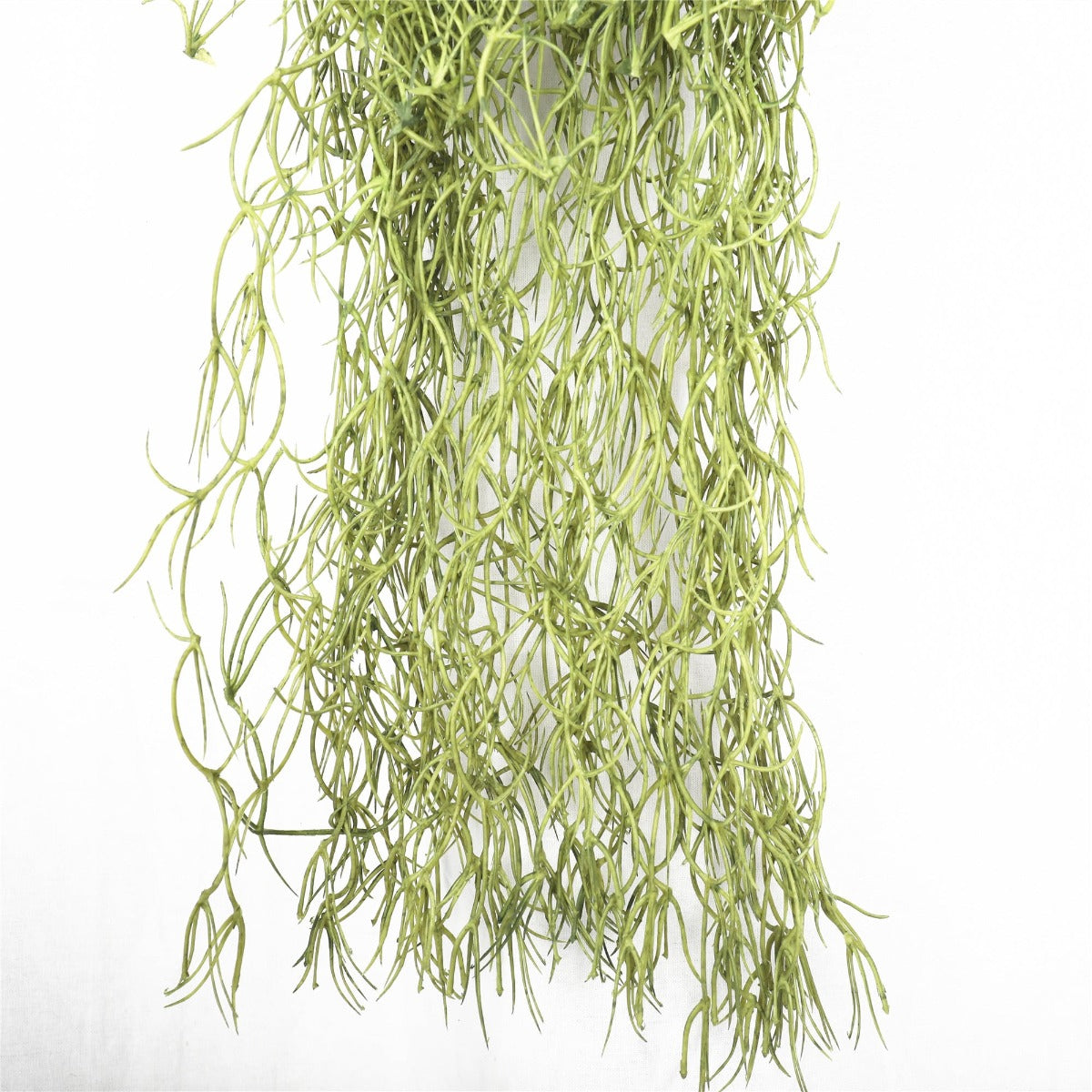 Air Plant Spanish Moss - Old Man Beard 60cm - image3