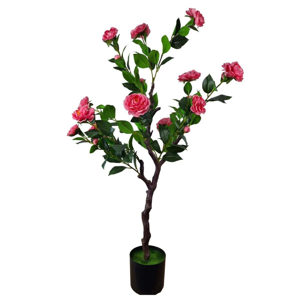 Flowering Natural Pink Camellia Tree 100cm - image1