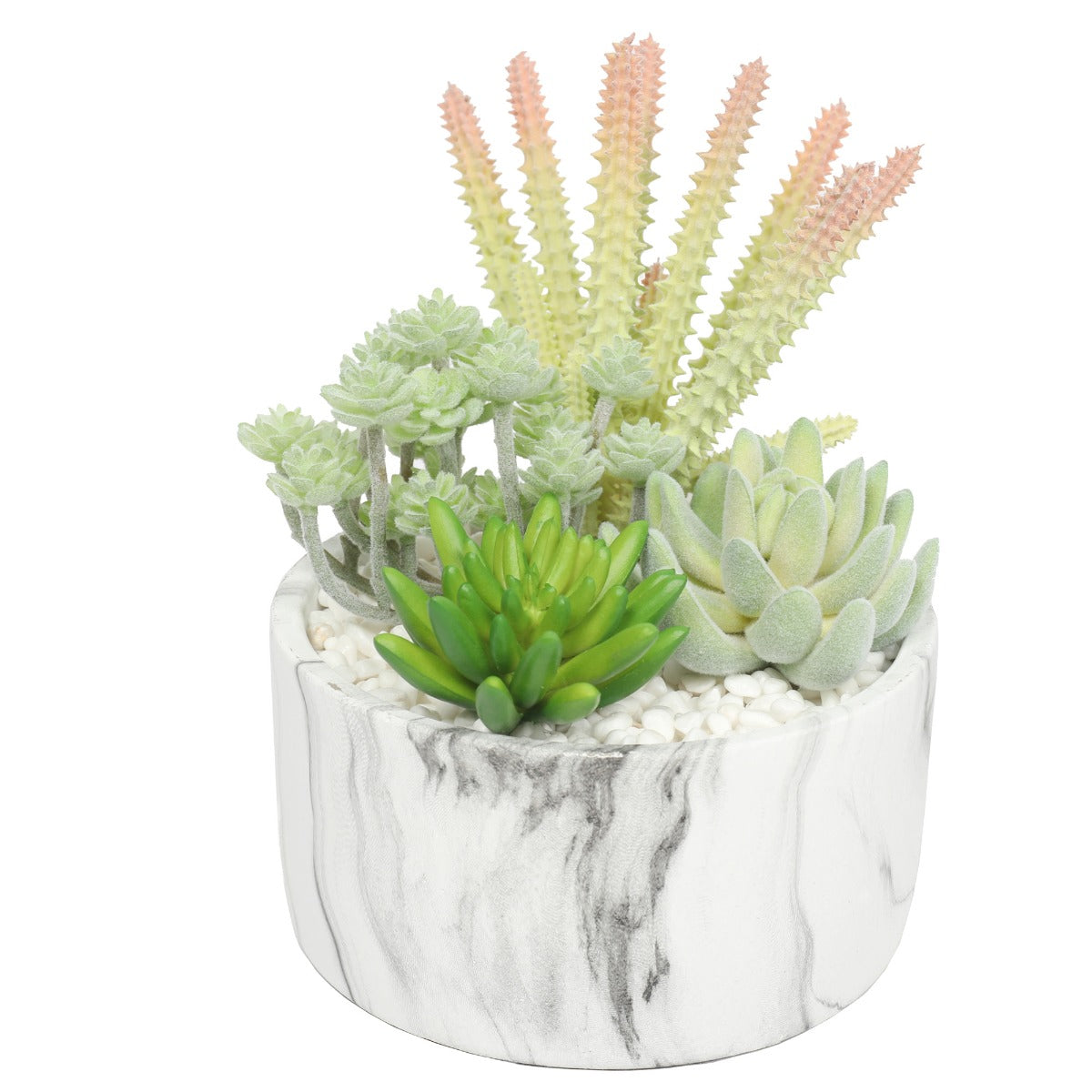 Potted Succulent Bowl with Marble Pot 20.5cm - image2
