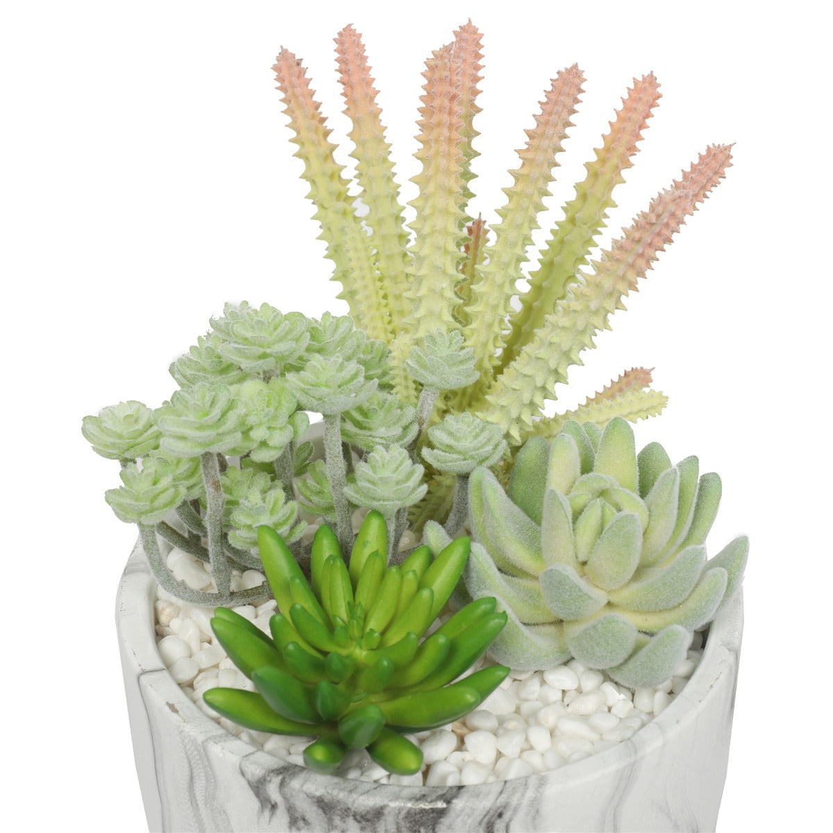 Potted Succulent Bowl with Marble Pot 20.5cm - image1