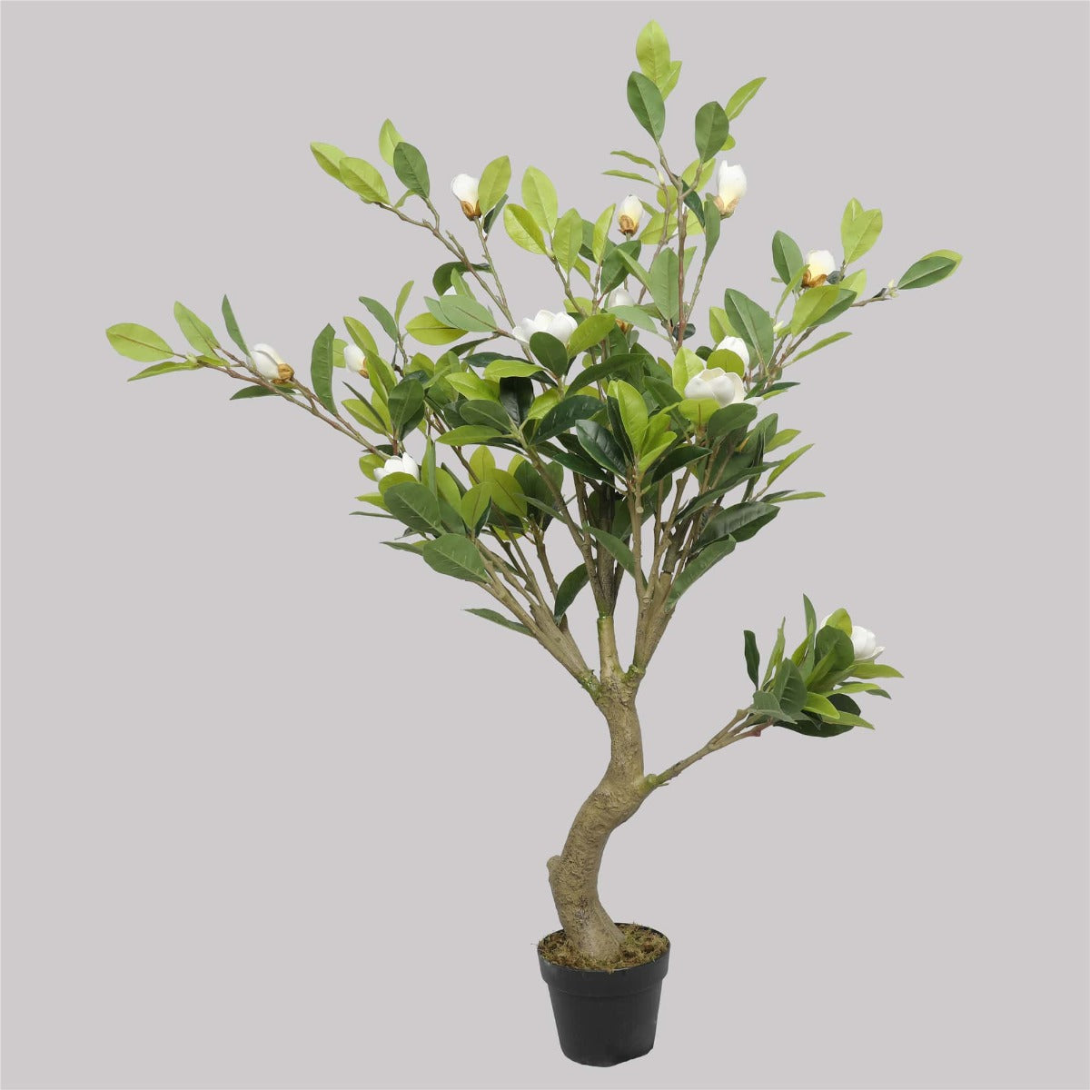 Faux White Flowering Magnolia Tree with Pot 130cm - image1