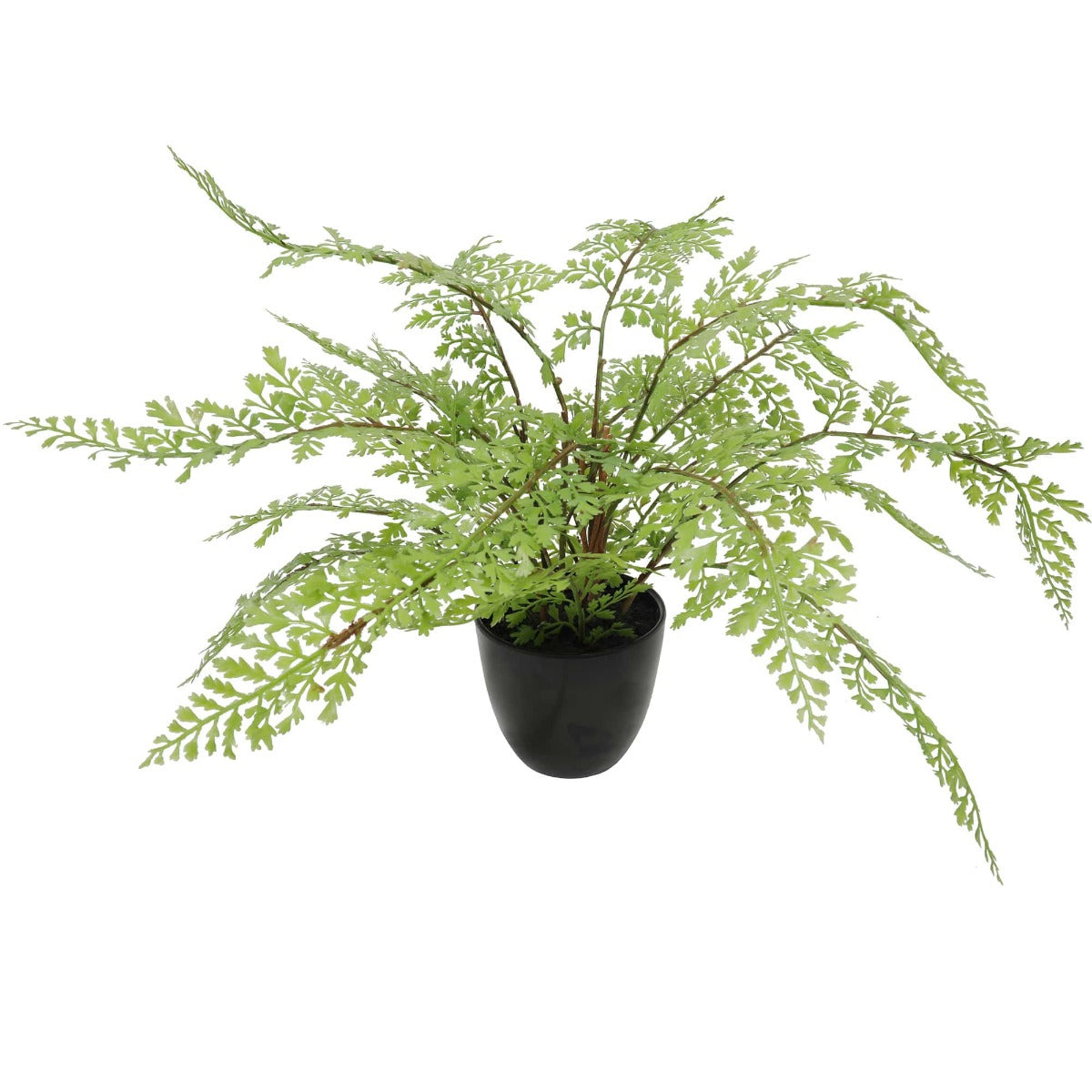 Faux Small Potted Fern 35cm - image1