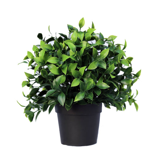 Small Potted Jasmine Plant UV Resistant 20cm - image1