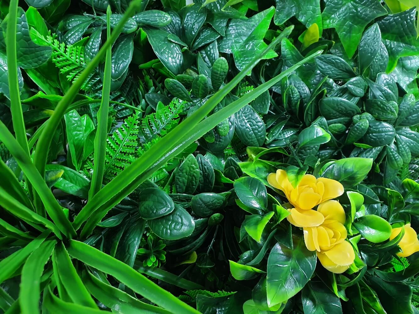 Yellow Rose Vertical Garden / Green Wall UV Resistant Sample - image3