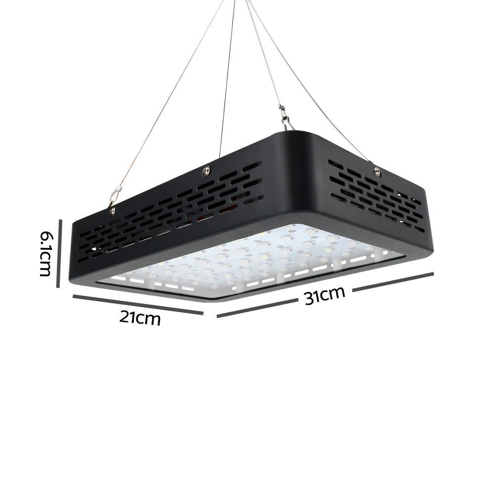 600W LED Grow Light Full Spectrum - image2