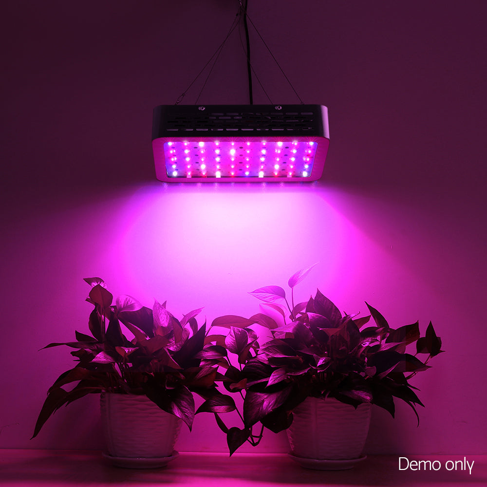 600W LED Grow Light Full Spectrum - image6