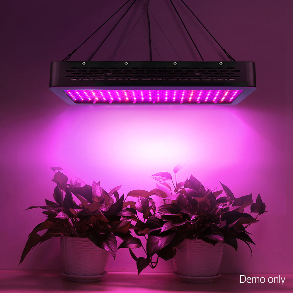 2000W LED Grow Light Full Spectrum - image6