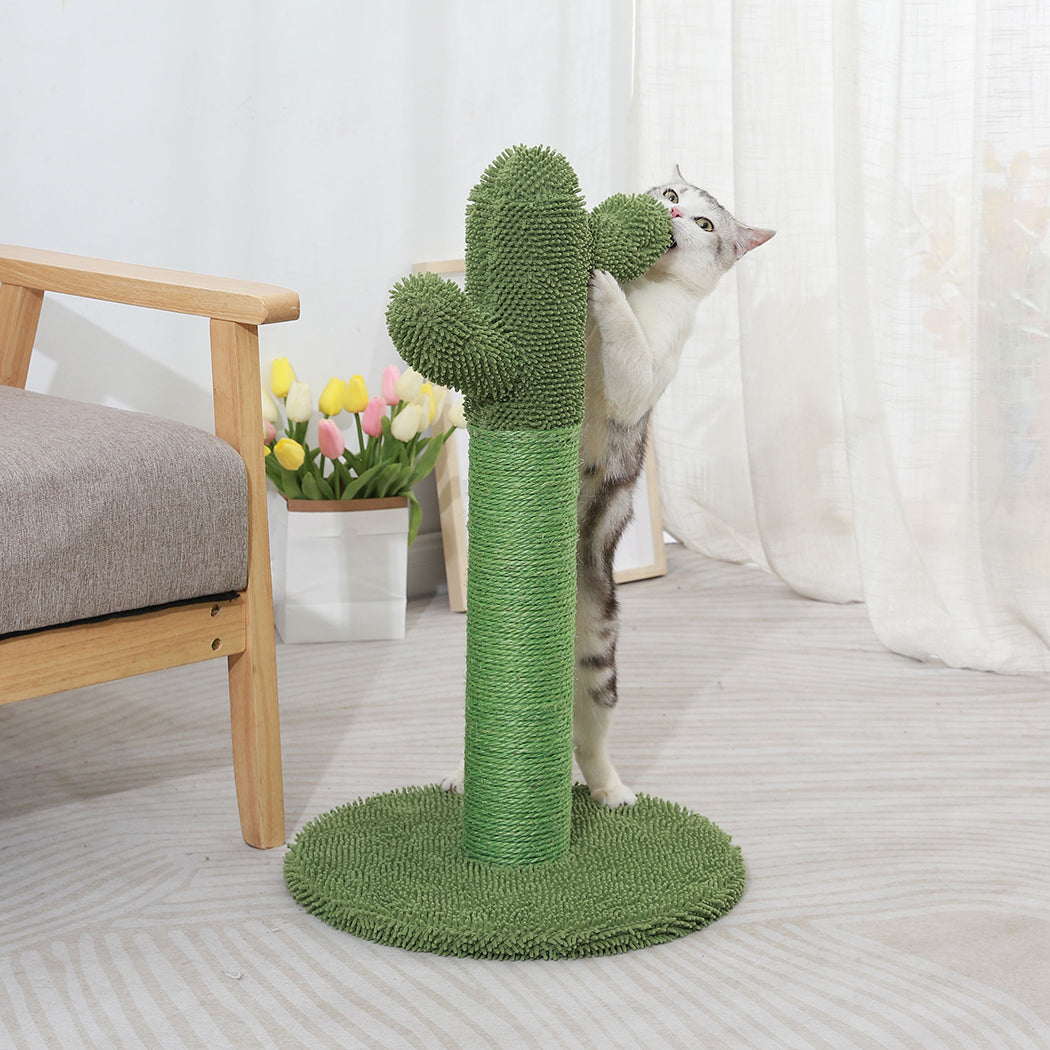 Cactus Cat Scratching Posts Pole Tree Kitten Climbing Scratcher Furniture Toys - image7