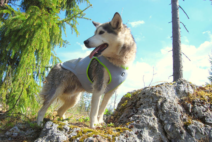 Cooling Vest Neon Yellow S - image4