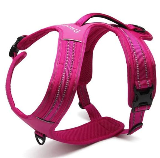 Reflective Heavy Duty Harness Pink L - image1