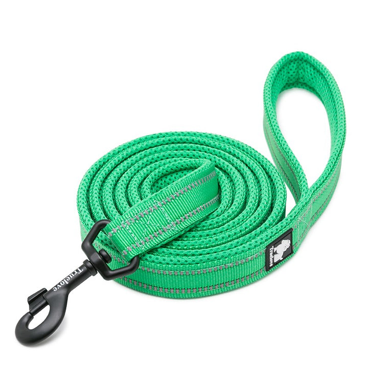 Reflective Pet Leash 2 meters Green M - image1