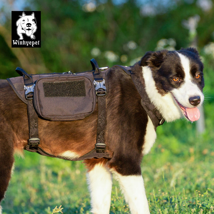 Whinhyepet Military Harness Black L - image3