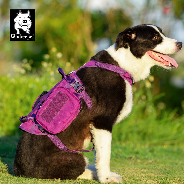 Whinhyepet Military Harness Purple M - image3
