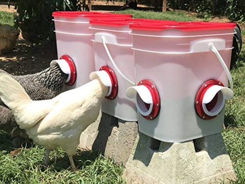 Cheeky Chooka DIY Poultry Feeder Port 4pk - image2