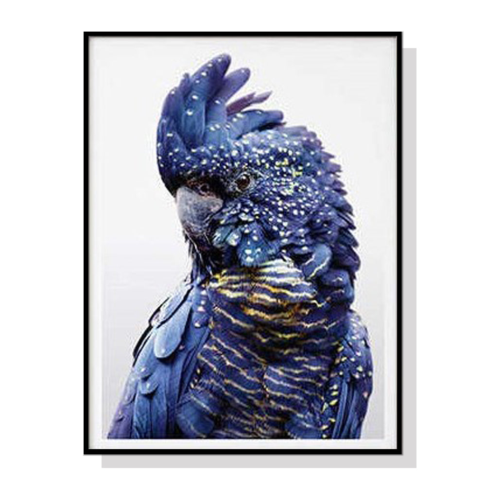 60cmx90cm Black Cockatoo A Black Frame Canvas Wall Art - image1