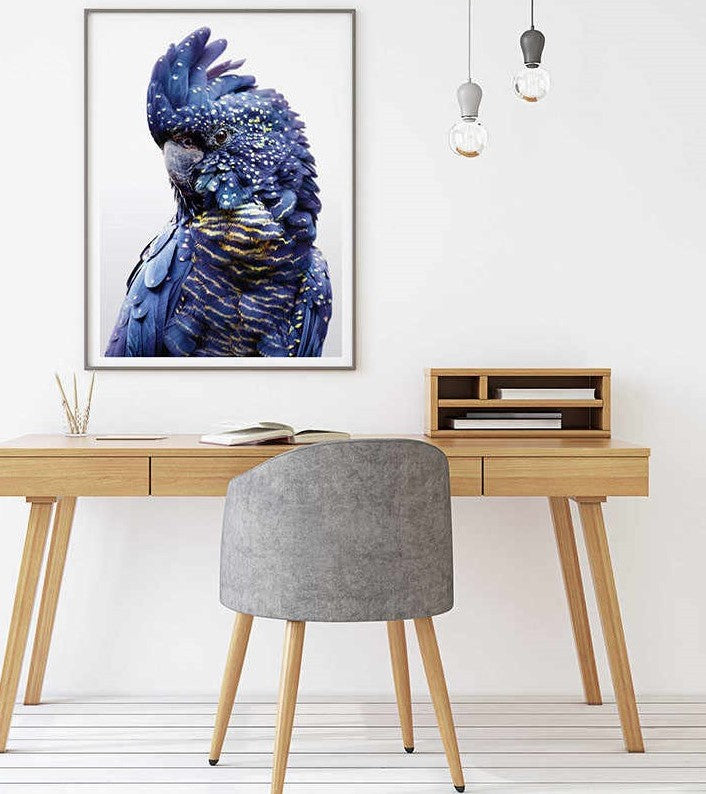 70cmx100cm Black Cockatoo A Black Frame Canvas Wall Art - image2