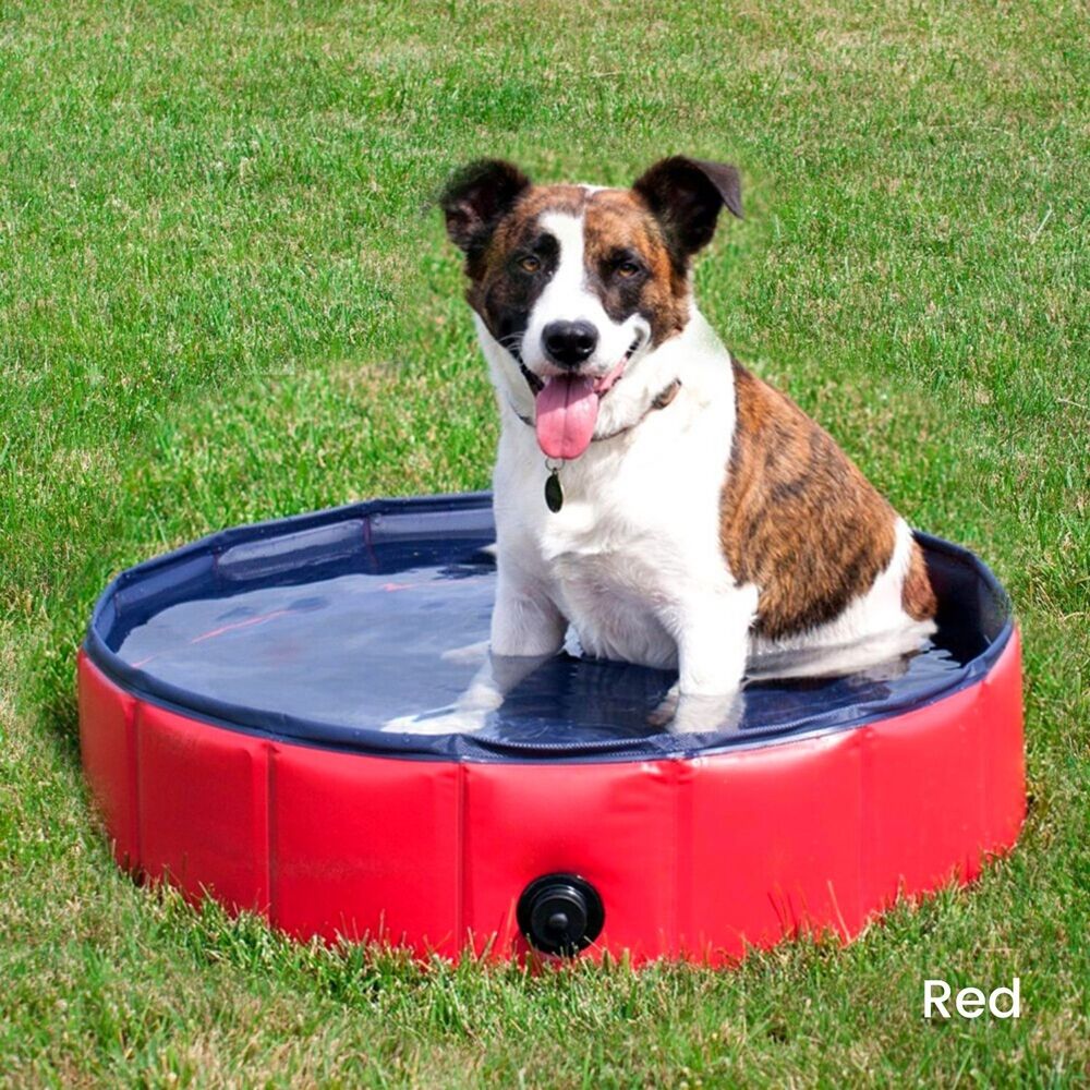 Floofi Pet Pool 120cm*30cm XL Red FI-SB-105-SG - image12