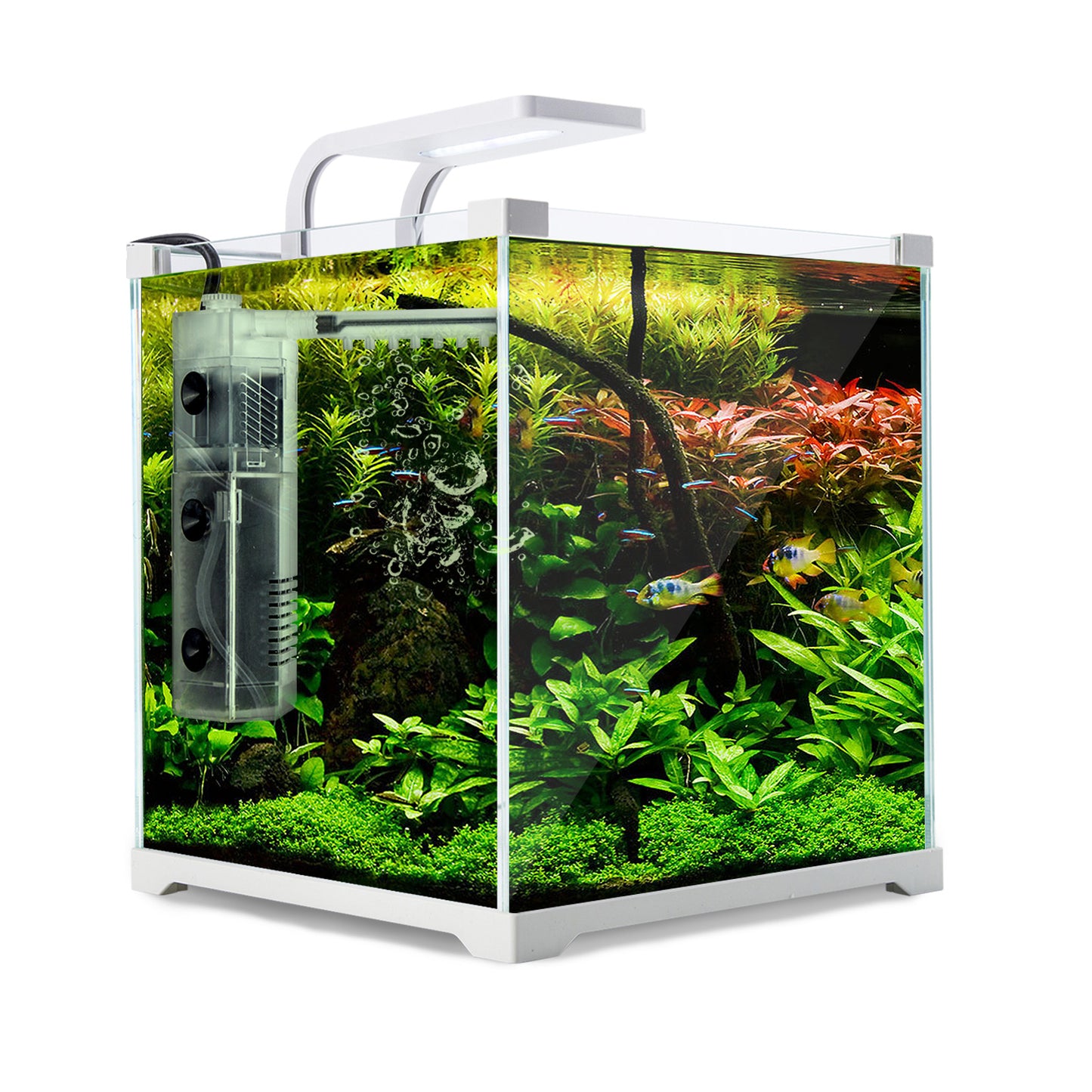 Dynamic Power  Aquarium Fish Tank 16L Starfire Glass - image1