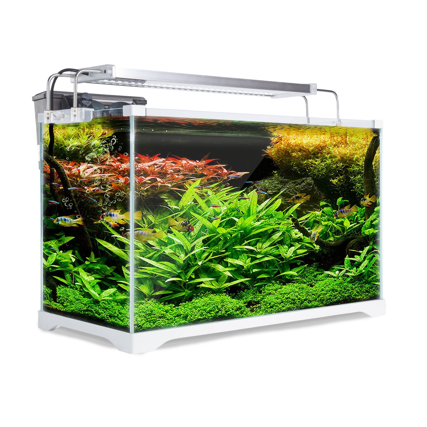 Dynamic Power Aquarium Fish Tank 39L Starfire Glass - image1