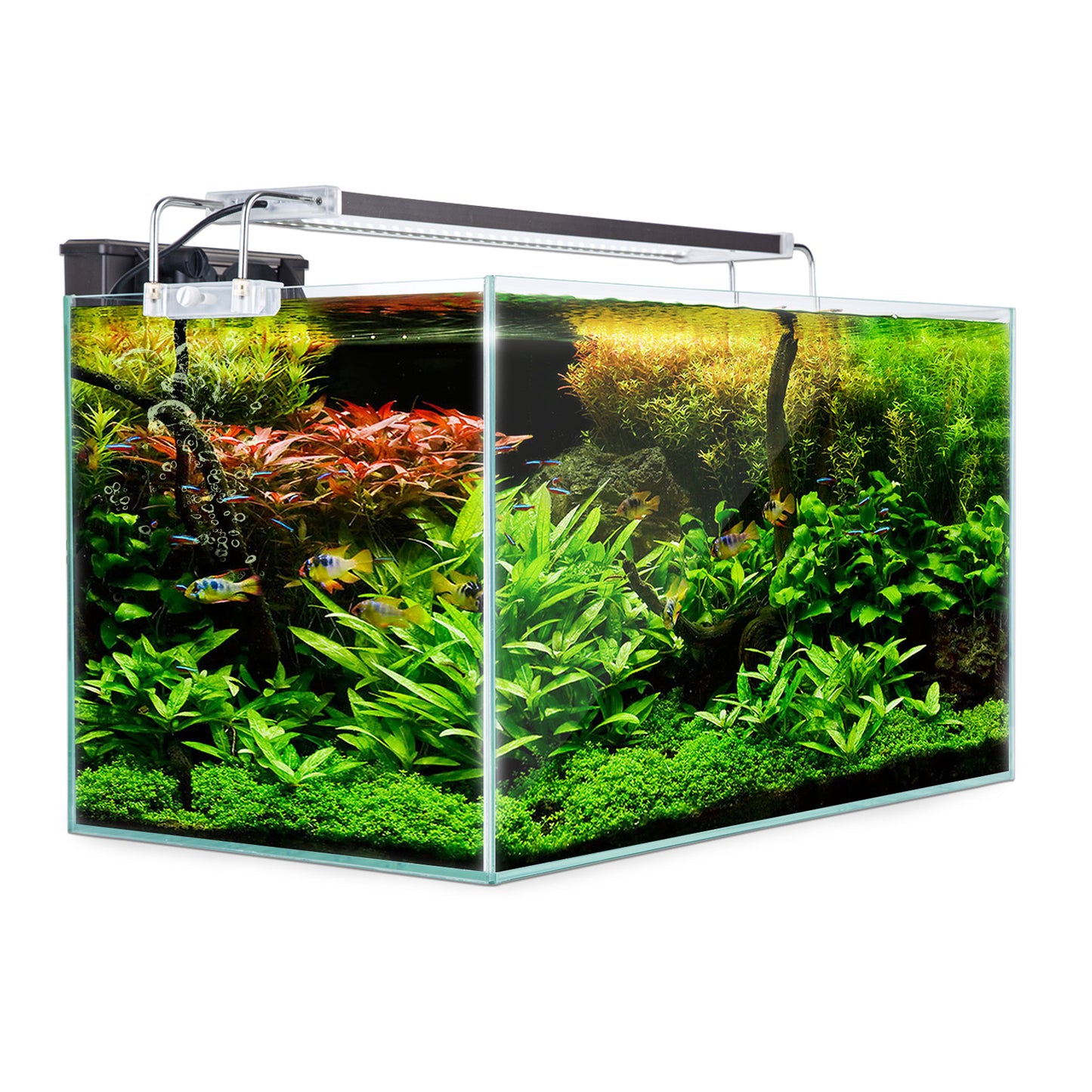 Dynamic Power Aquarium Fish Tank 70L Starfire Glass - image1