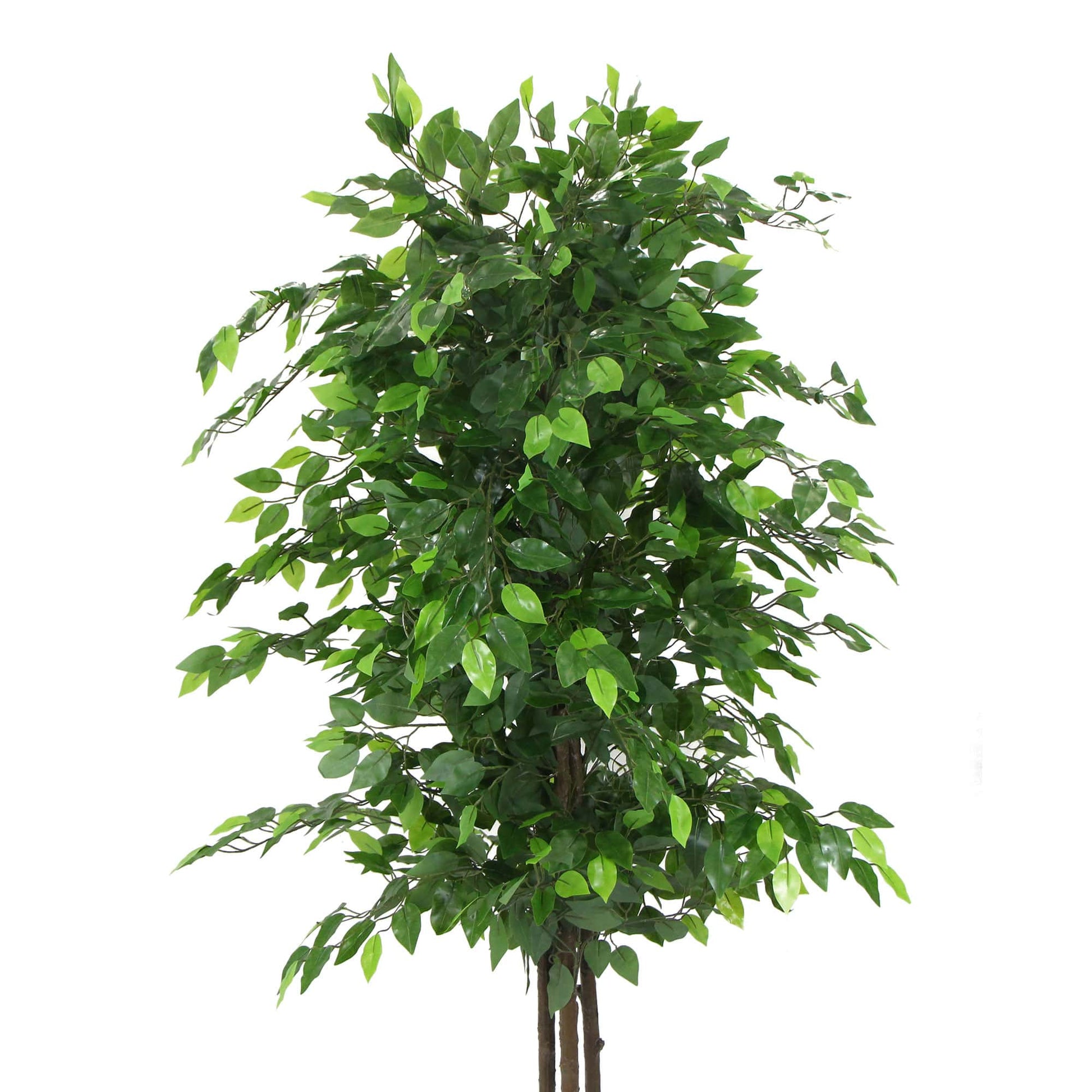 Artificial Ficus Tree 180cm Nearly Natural UV Resistant - image2