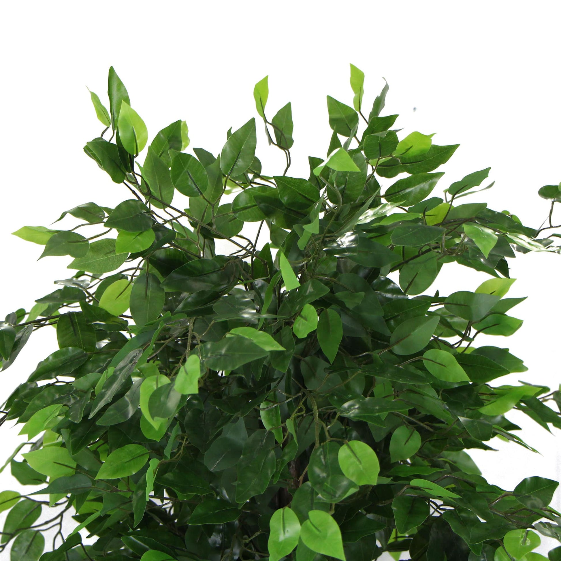 Artificial Ficus Tree 180cm Nearly Natural UV Resistant - image3