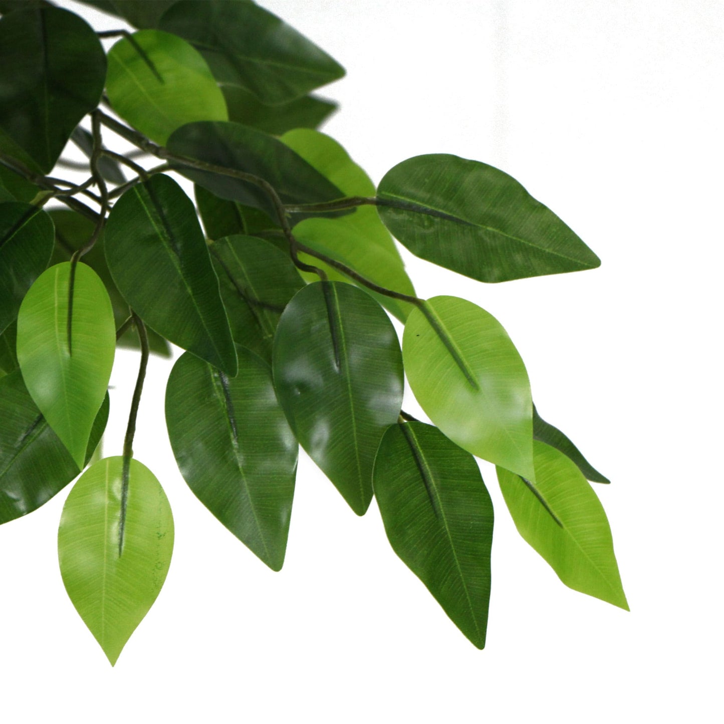 Artificial Ficus Tree 180cm Nearly Natural UV Resistant - image6