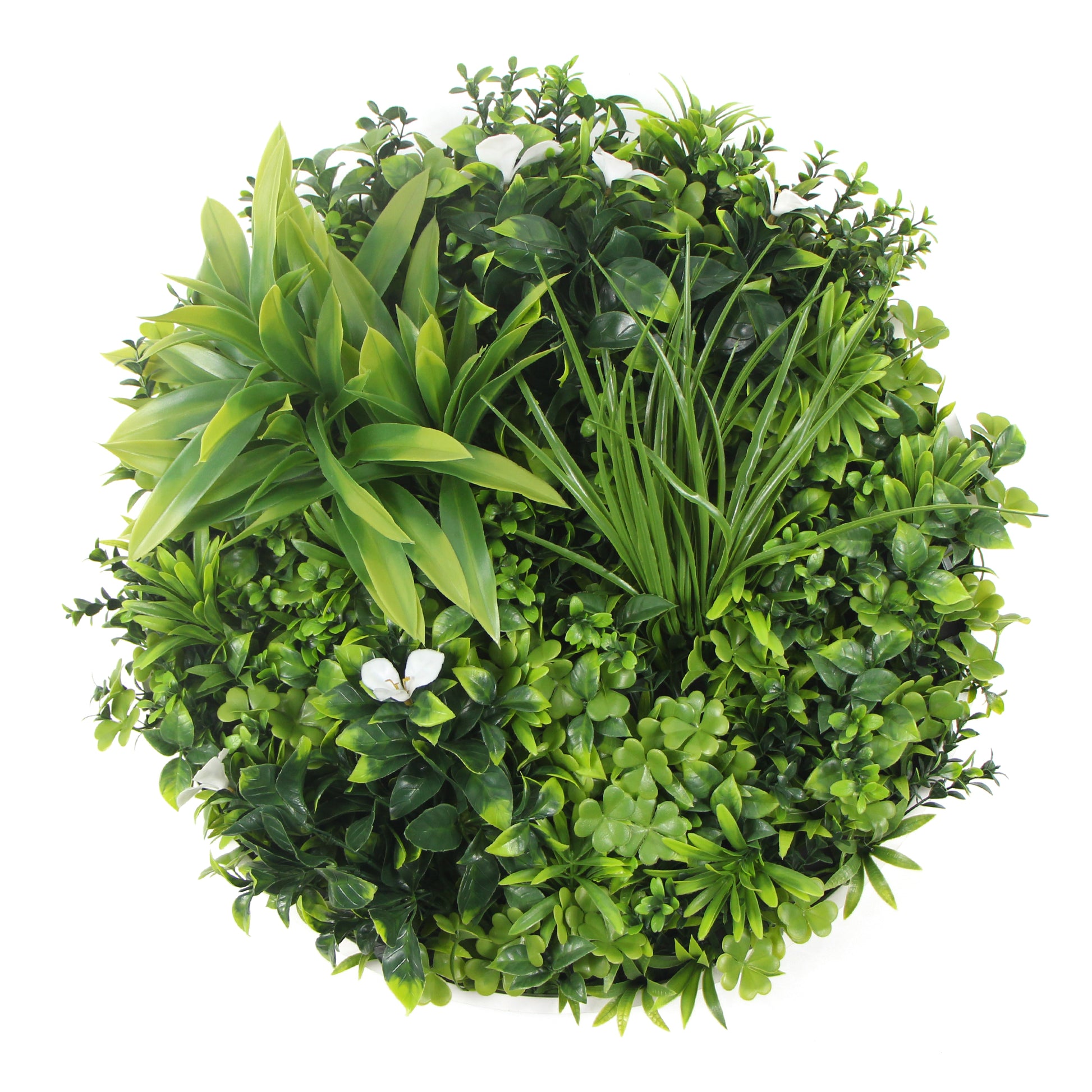 Flowering White Artificial Green Wall Disc UV Resistant 75cm (Black Frame) - image1