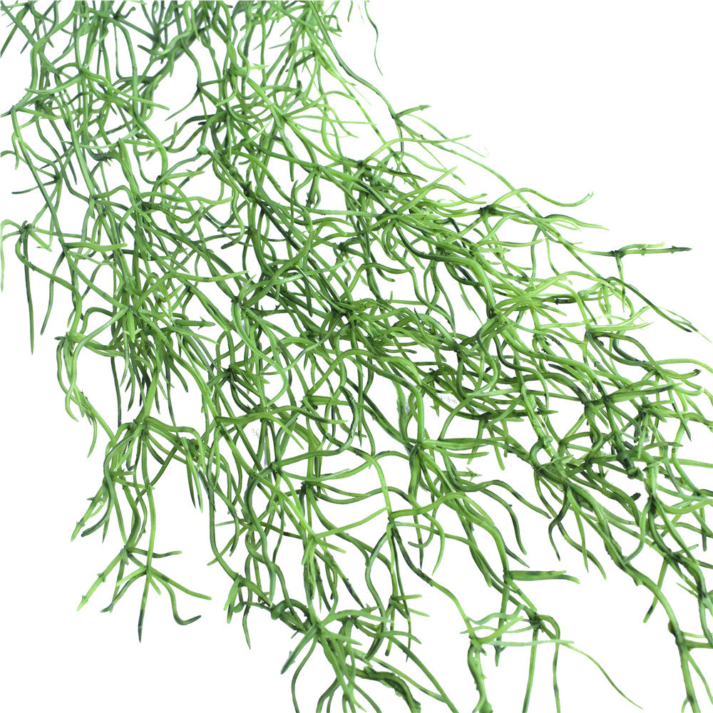 Air Plant / Spanish Moss Hanging Vine 120cm - image2