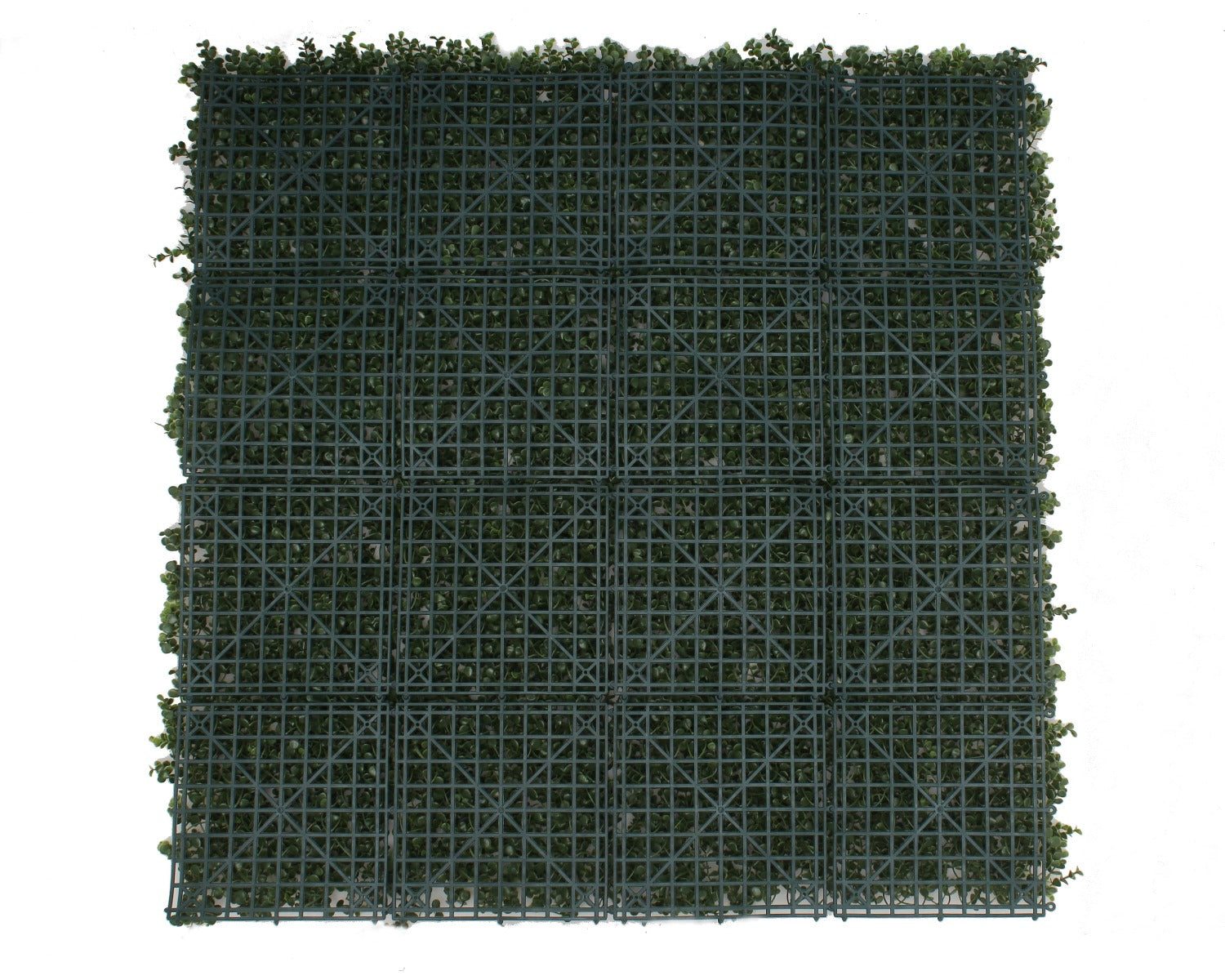 Premium Natural Buxus Hedge Panels UV Resistant 1m x 1m - image3