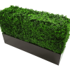 Black Metal Planter Small - image9