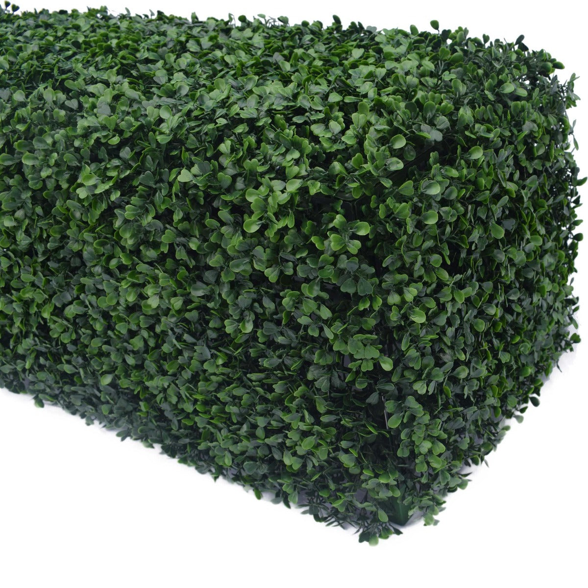 Portable Boxwood Hedge UV Resistant 25cm High 100cm Long - image2