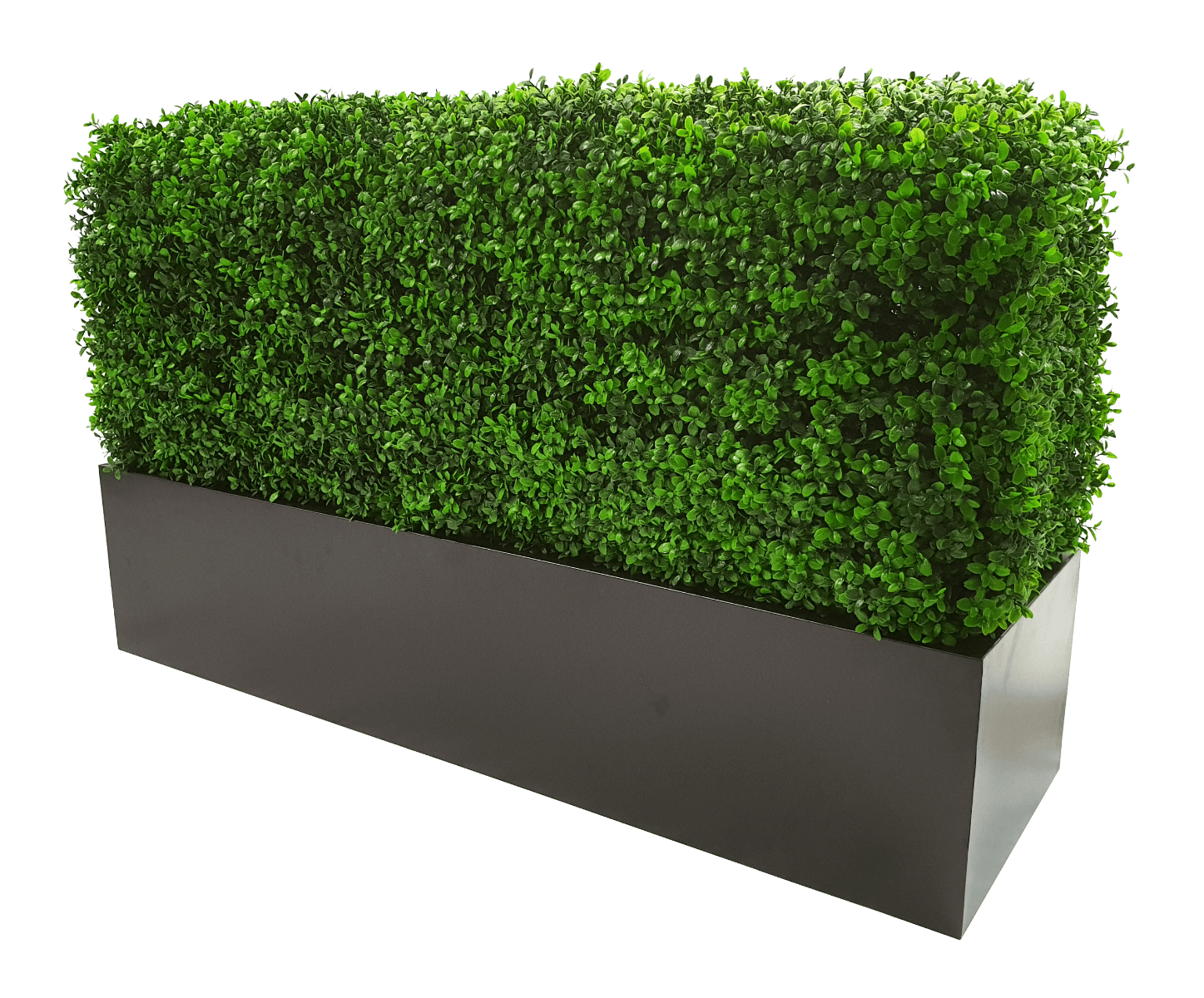 Deluxe Portable Buxus (Bright) UV Resistant 100cm Long x 50cm High x 25cm Wide - image3