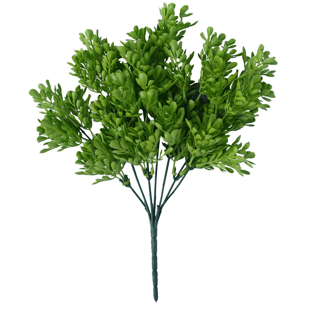 Vivid Green Wide Eucalypts Plant 32cm UV Resistant - image1