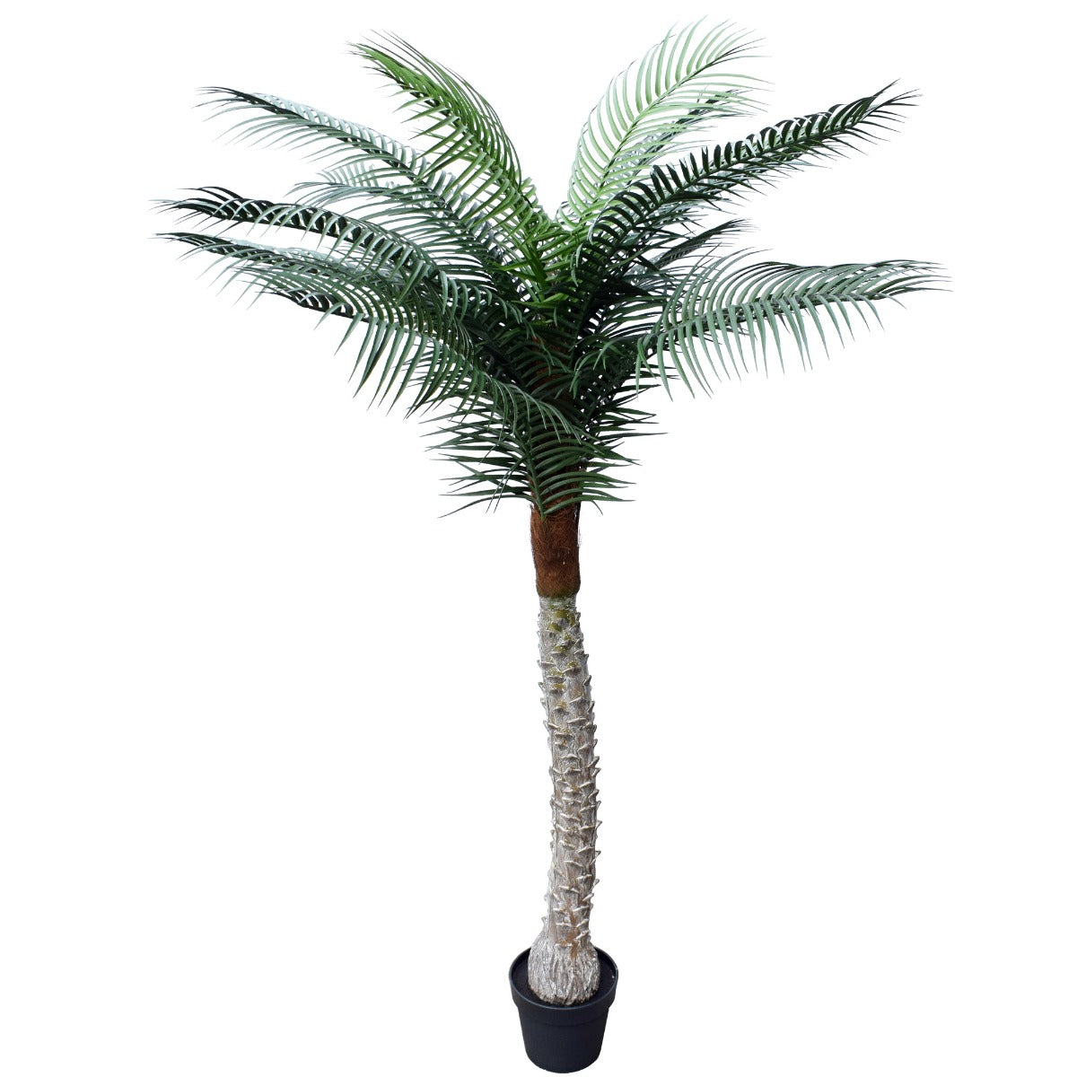 Tropical Phoenix Palm Tree 170cm UV Resistant - image1