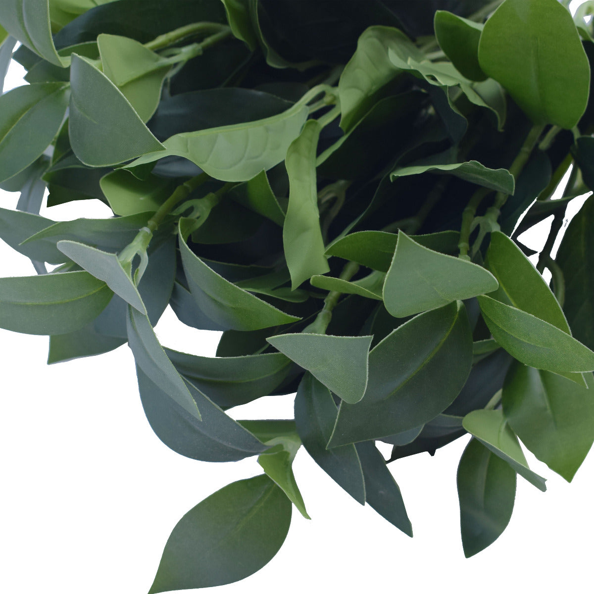 Bayleaf Foliage Bunch 45cm - image2