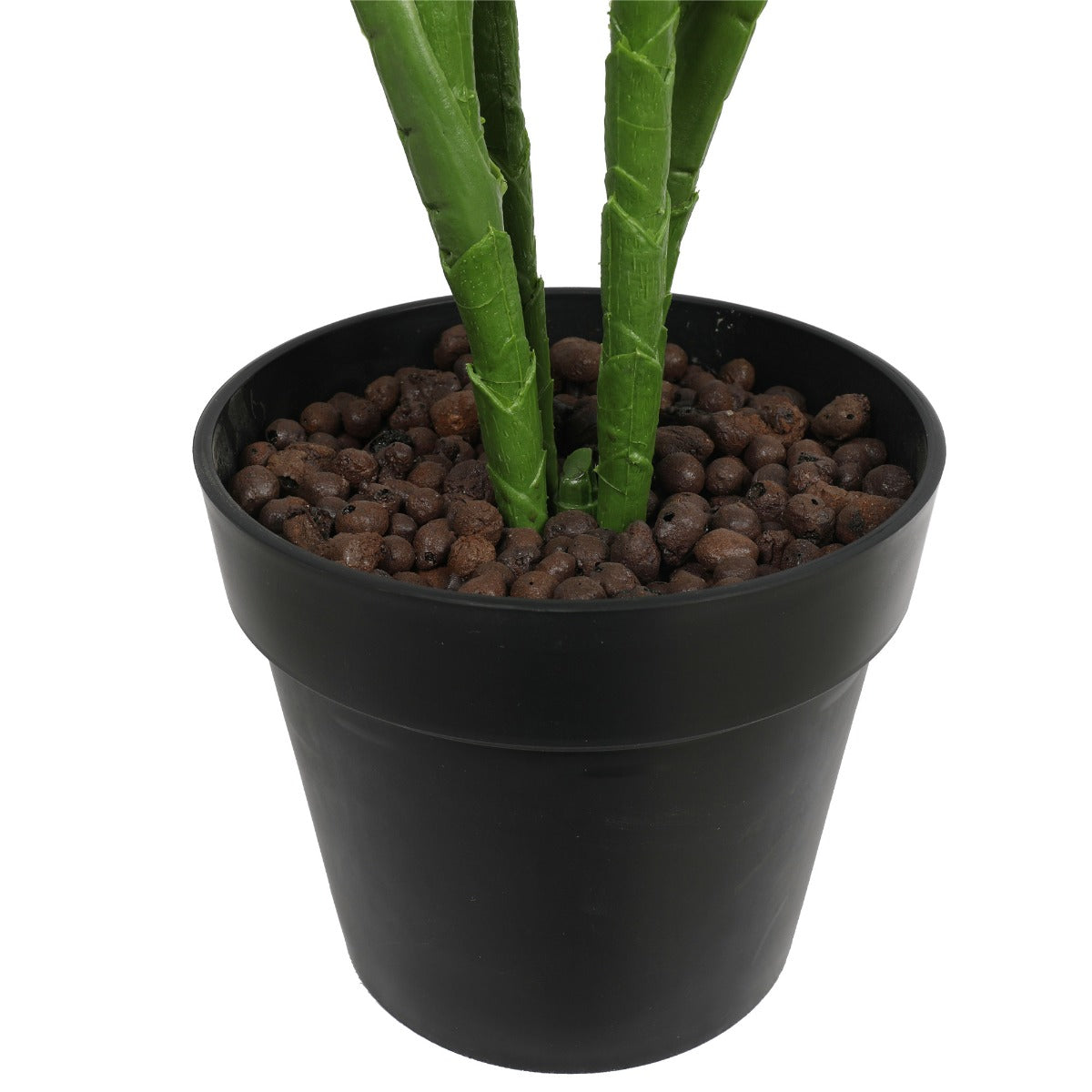 Potted 150cm Bird of Paradise Plant - image3