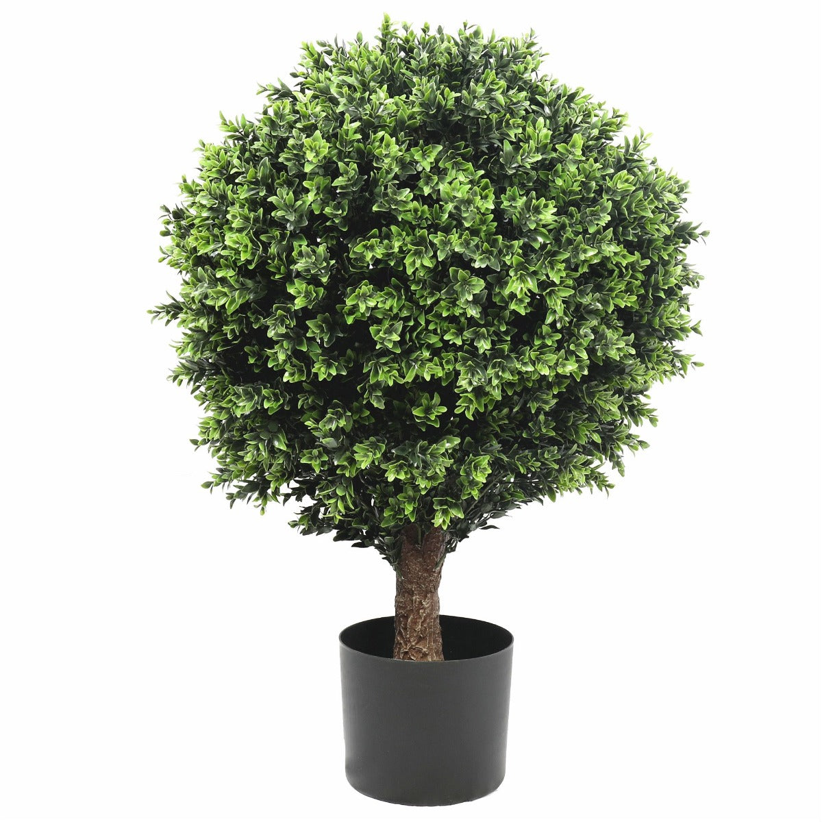 UV Resistant Topiary Shrub (Hedyotis) 80cm - image1