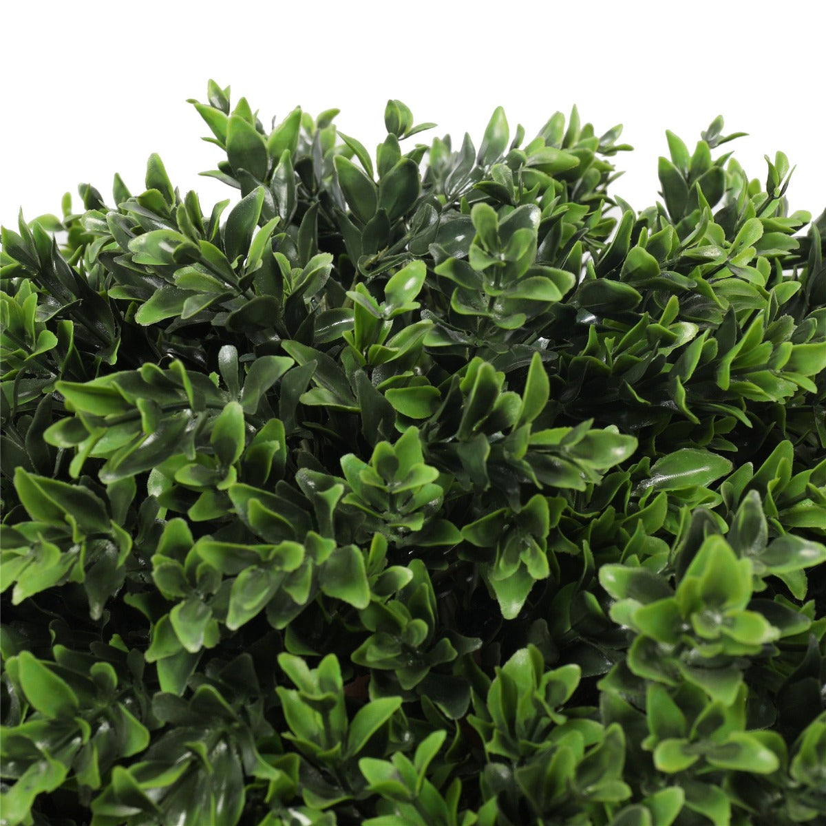 UV Resistant Topiary Shrub (Hedyotis) 80cm - image3