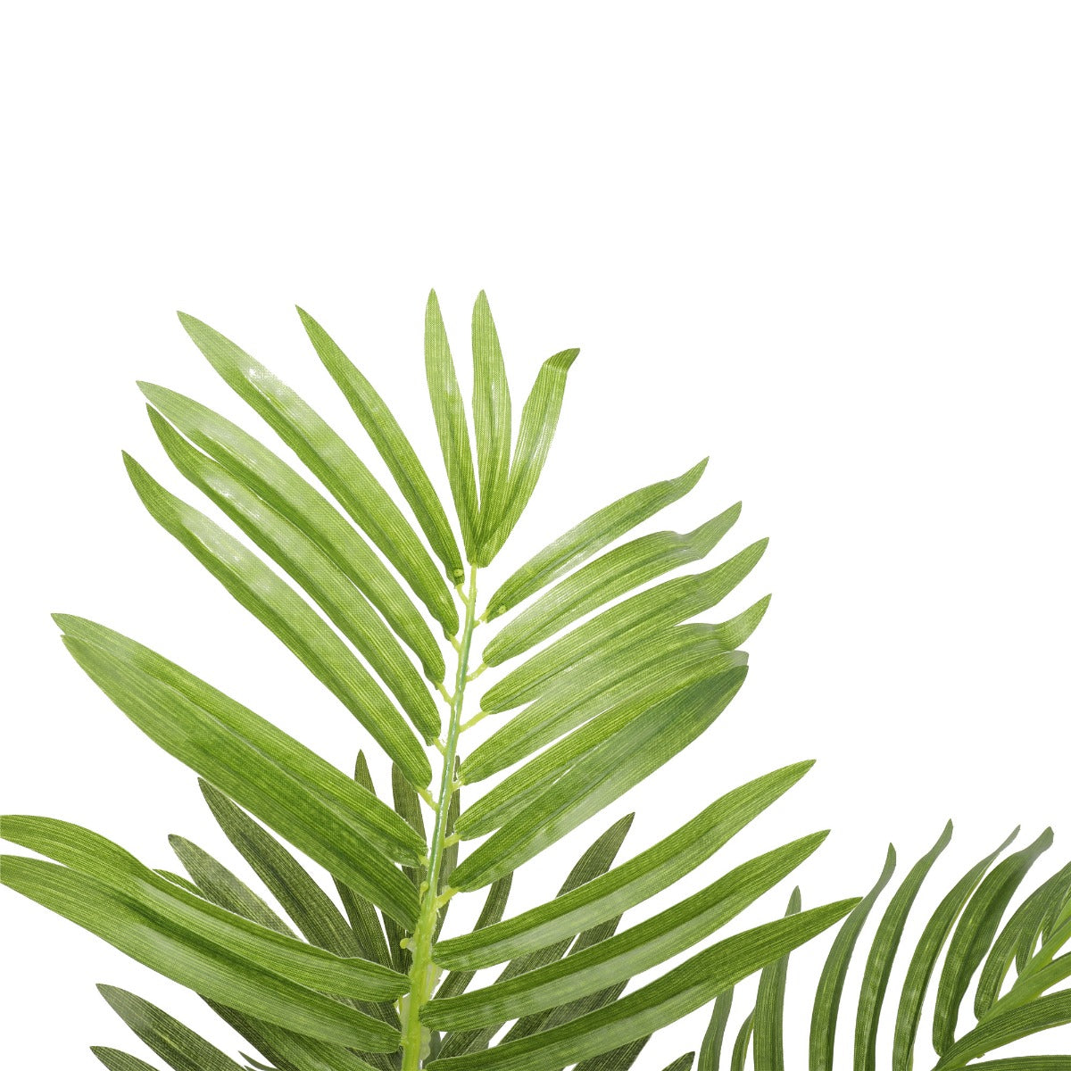 Potted Areca Palm Tree 120cm - image6