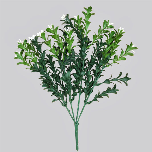 Flowering Boxwood Stem 30cm - image1