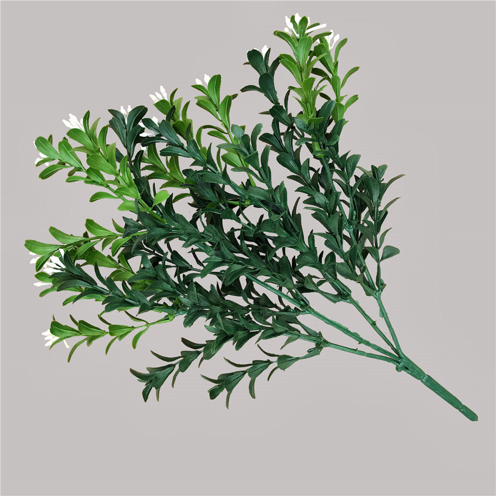 Flowering Boxwood Stem 30cm - image3