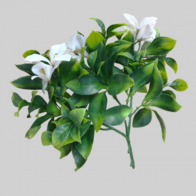 White Flowering Jasmine Stem UV Resistant 30cm - image5